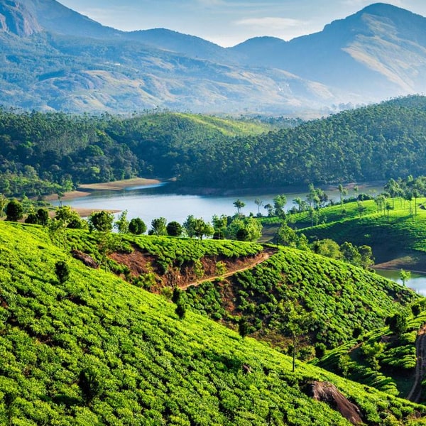MUNNAR WITH HOUSEBOAT TOUR.jpg